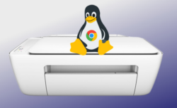 Printen met Linux