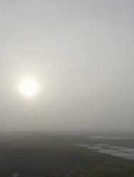 Zon en mist in Zuidoost Drenthe